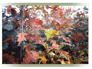 Ornamental foliage