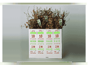 Verpackte Heckenpflanzen im karton